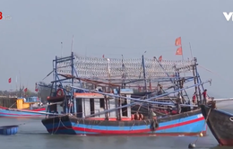 Báo động tình trạng mất an toàn tàu cá ngư dân
