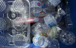 Canada liệt nhựa là chất độc hại