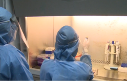 Viện Pasteur Nha Trang tiếp tục triển khai xét nghiệm SARS-CoV-2