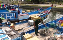 Đà Nẵng: Bắt 5 tàu cá đánh bắt trái phép bằng bộ kích điện