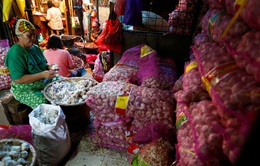 Indonesia mở cửa cho các mặt hàng hành, tỏi nhập khẩu