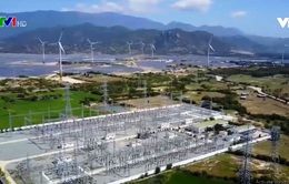 Đầu tư nhà máy điện Mặt trời 450MW tại Ninh Thuận