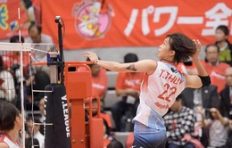 Trần Thị Thanh Thúy sẽ tiếp tục thi đấu bóng chuyền tại Nhật Bản