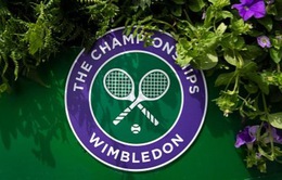 Wimbledon có thể bị hoãn hoặc huỷ vì dịch COVID-19