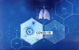 Ca tử vong do xơ gan giai đoạn cuối ở Hà Nam không phải do COVID-19