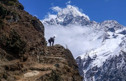 Hàng trăm người mắc kẹt trên dãy Himalaya sau khi Nepal áp dụng lệnh phong toả