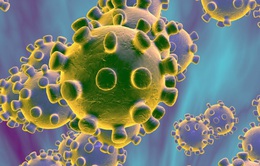 Tải lượng virus trong bệnh nhân mắc COVID-19 cao nhất trong tuần đầu nhiễm bệnh