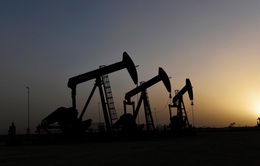 Saudi Arabia sẽ tăng sản lượng dầu thô lên trên mức 10 triệu thùng/ngày