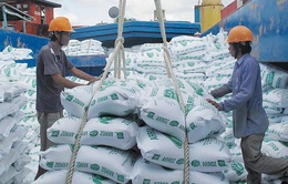 Không có sự can thiệp của công chức hải quan trong xuất khẩu gạo