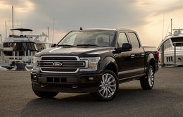 Ford triệu hồi hàng chục ngàn xe bán tải do trục trặc hộp số