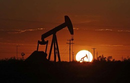 WSJ: Nhiều công ty dầu khí của Mỹ cắt giảm mạnh sản lượng