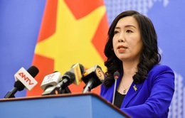 Việt Nam tích cực hỗ trợ các cơ quan đại diện nước ngoài bảo hộ công dân