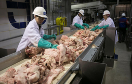Nghịch lý ở nước Mỹ: Dân thiếu thịt để ăn, nhưng lại xuất... ào ào sang Trung Quốc