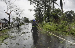 Bão Vongfong gây thiệt hại nặng nề tại Philippines