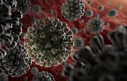 Trung Quốc từ chối cho WHO tham gia điều tra nguồn gốc virus SARS-CoV-2