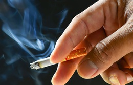 Người hút thuốc lá khi mắc COVID-19 dễ gặp biến chứng nghiêm trọng