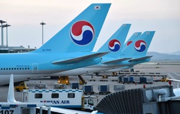 Các hãng hàng không Hàn Quốc chuẩn bị mở lại đường bay quốc tế