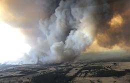 Khói bụi cháy rừng từ năm 2019 tại Australia khiến hơn 4.000 người nhập viện