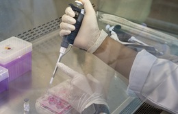 Novavax thử nghiệm vaccine phòng COVID-19 tại Australia