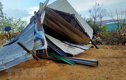 "Cơn mưa vàng" kèm lốc xoáy làm hơn 100 căn nhà tại Ninh Thuận hư hỏng
