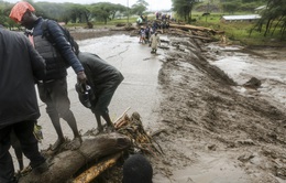 Lũ lụt nghiêm trọng tại miền Đông châu Phi, hàng trăm người thiệt mạng
