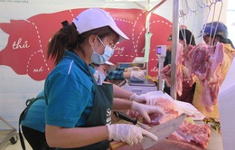 Nhập khẩu lợn sống: Giải pháp hiệu quả giảm nhiệt giá thịt lợn?
