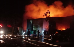 Cháy lớn nhà xưởng 200m2 sát bên Viện Điều tra, quy hoạch rừng ở Hà Nội
