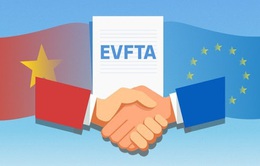 EVFTA và EVIPA: Cơ hội song hành cùng thách thức với Việt Nam