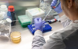 Chính phủ Anh tài trợ công tác thử nghiệm vaccine ngừa virus SARS-CoV-2 trên người