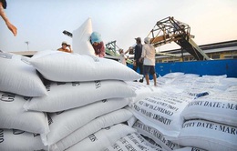 Giá gạo Việt Nam giao dịch ở mức thấp nhất trong hai tháng
