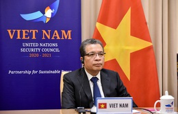 Việt Nam ủng hộ nhất quán cuộc đấu tranh chính nghĩa của nhân dân Palestine