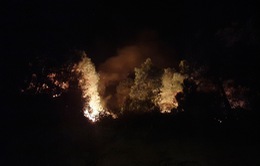 Dập tắt đám cháy rừng ở núi Con Voi (Nghệ An)