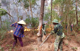 Cháy rừng liên tục ở Nghệ An: Vấn đề từ ý thức đến phòng cháy