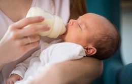 Khi nào trẻ uống sữa tươi, khi nào trẻ uống sữa bột?