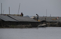 Ấn Độ: Lũ lụt nghiêm trọng tại Assam, hơn 100 người thiệt mạng