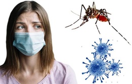 Nghiên cứu phát hiện muỗi không thể lây truyền virus SARS-CoV-2 sang người