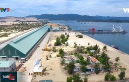 Khánh Hòa: Đầu tư cảng Bắc Vân Phong thành cảng biển quốc tế