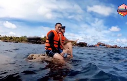 Quang Vinh, Phạm Quỳnh Anh bị chỉ trích vì ngồi trên tảng san hô sống