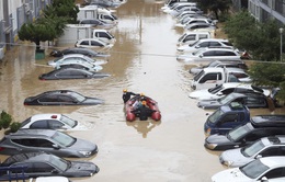 Lụt lội nhấn chìm hàng trăm ô tô và nhà cửa ở Hàn Quốc