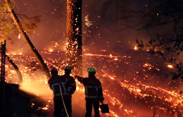Hỏa hoạn thiêu rụi 40 ha rừng thông ở Pháp, nhiều người phải sơ tán