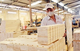 Xuất khẩu gỗ và sản phẩm gỗ vẫn ghi nhận tăng trưởng giữa đại dịch