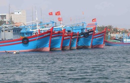 Quảng Ninh tạm ngừng cấp phép tàu từ 0h ngày 2/8