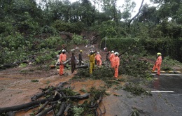 Mưa lớn gây lở đất tại Ấn Độ, hàng chục công nhân trồng chè thiệt mạng trong đêm
