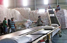 Giá trị xuất khẩu gạo tăng mạnh