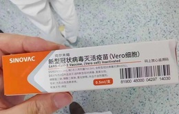 Cảnh báo lừa đảo bán vaccine COVID-19 trên mạng xã hội ở Trung Quốc