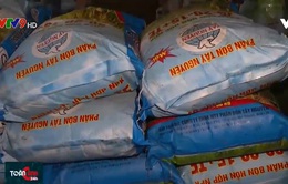 Đắk Lắk: Phát hiện 4,4 tấn phân bón hết hạn sử dụng, không nhãn mác