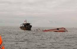 Chìm tàu, 5 ngư dân được cứu nạn kịp thời