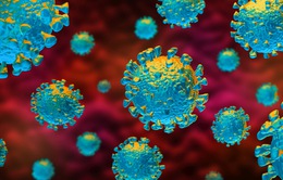 NÓNG: Phát hiện biến thể của virus SARS-CoV-2 lây lan nhanh gấp 10 lần