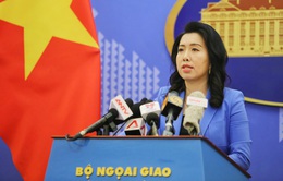 Việt Nam sẵn sàng phối hợp với nước sở tại bảo hộ công dân bị tạm giữ tại Malaysia và Indonesia