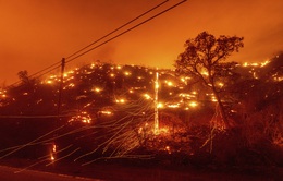 Hơn 10.000 vụ sét đánh khiến cháy rừng tại California lan rộng